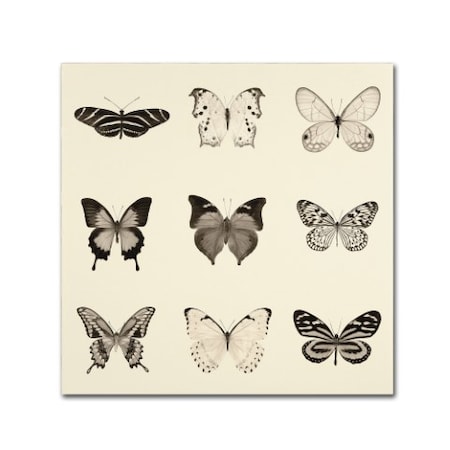 Debra Van Swearingen 'Butterfly BW 9 Patch' Canvas Art,14x14